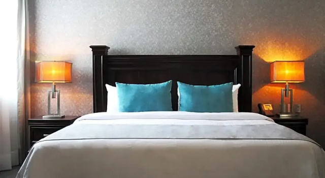 Двухместный номер Standard Gran Hotel Concordia San Luis Potosi