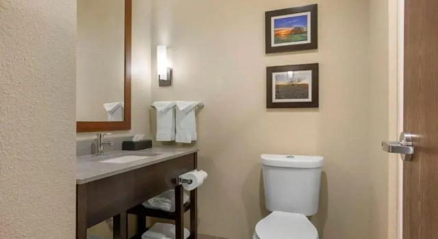 Люкс Comfort Inn & Suites Euless DFW West