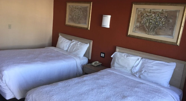 Camera Standard Desert Inn