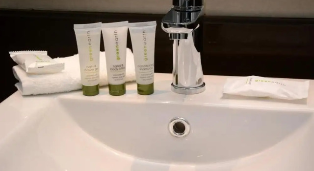 Двухместный люкс Premier Hotel Pretoria