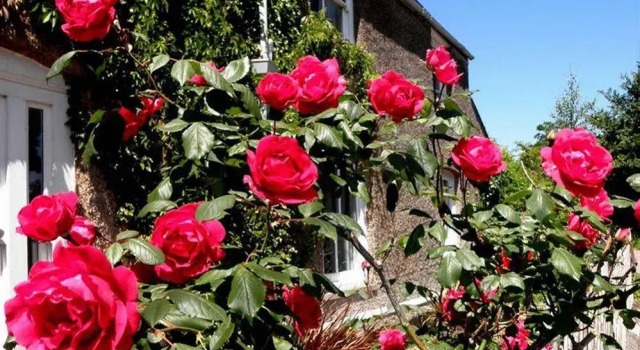 Brampton Cottage B&B, Забронировать Отель «постель и завтрак» Отели Англии 3 звезды, 3*