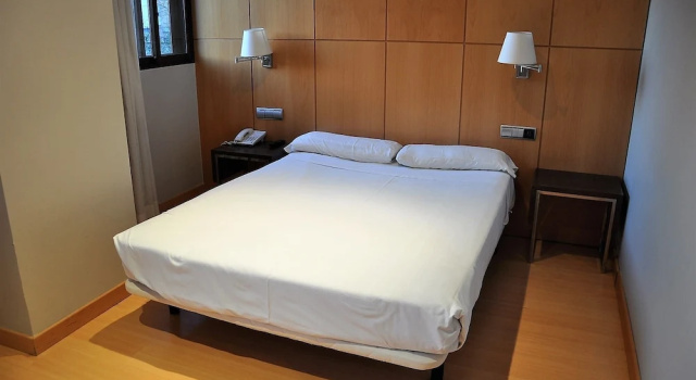 Двухместный номер Standard Hotel Feria