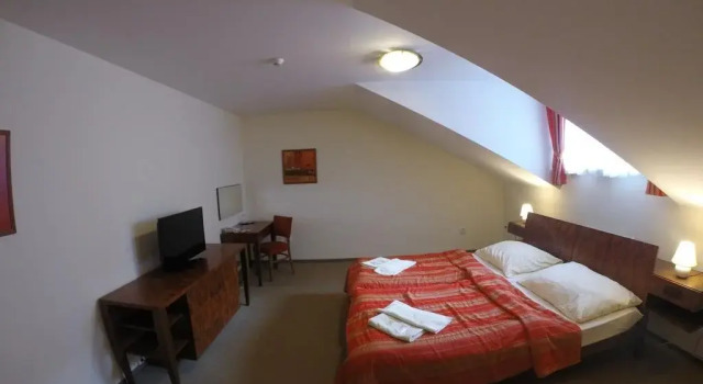 Hotel Vion