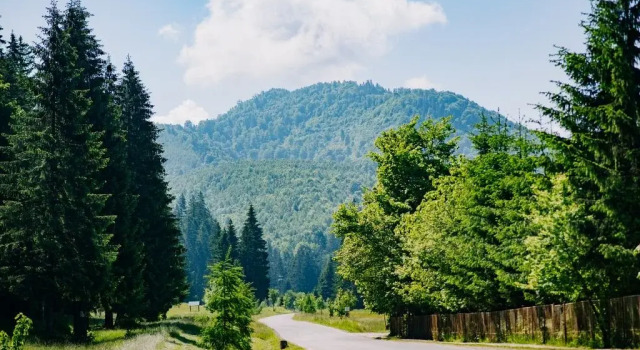 Valea Zanelor, Varaa Hotelli Covasna Transylvania