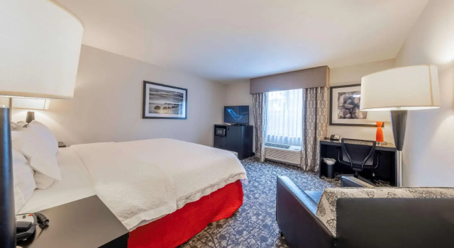 Двухместный номер Standard Hampton Inn & Suites DuPont
