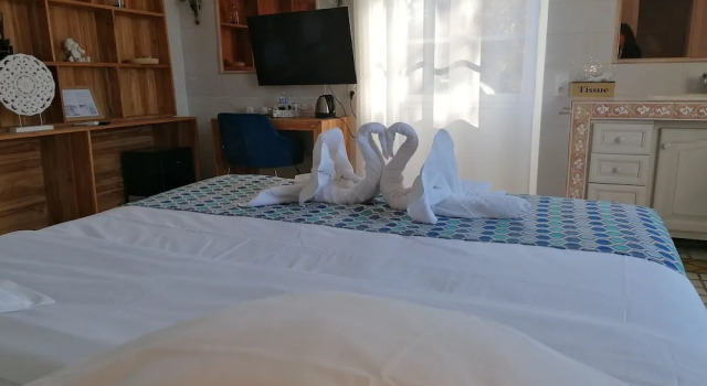 Двухместный номер Superior с видом на бассейн DOMAINE DE LA NERTHE- HOTEL PROVENCE MEDITERRANEE
