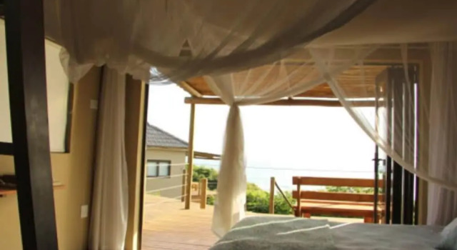 Baleia Azul 11