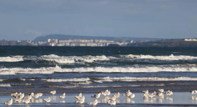 Коттедж Fisherman's Lodge Portstewart