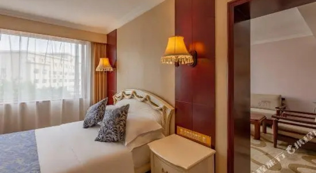 Люкс Dalian International Airport Hotel