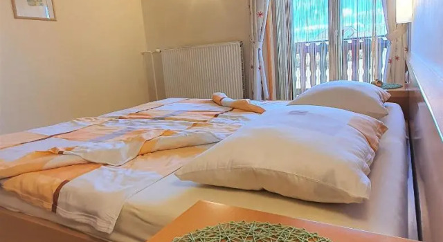 Полулюкс с балконом и с красивым видом из окна Apartments AD Radenci