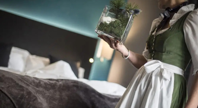 Полулюкс Olympic SPA Hotel