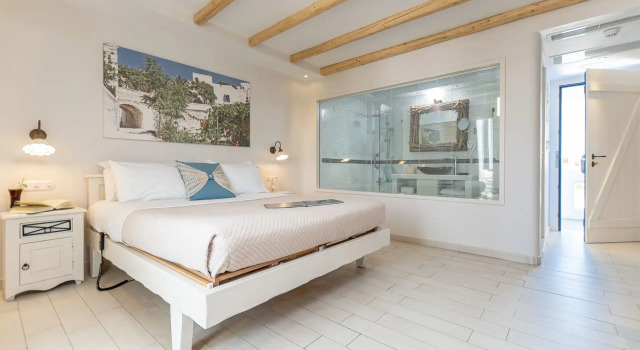 Двухместный номер Standard Naxos Island Hotel