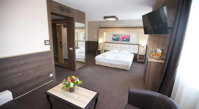 Deluxe cameră Silver House