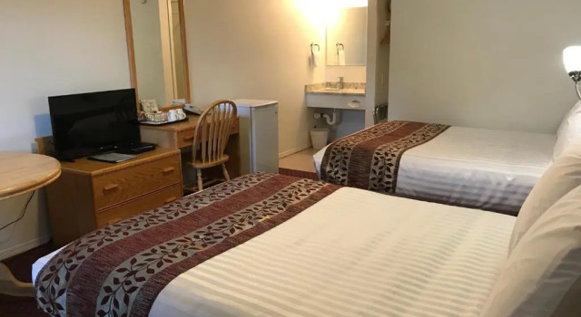 Четырёхместный номер Standard Cactus Tree Inn