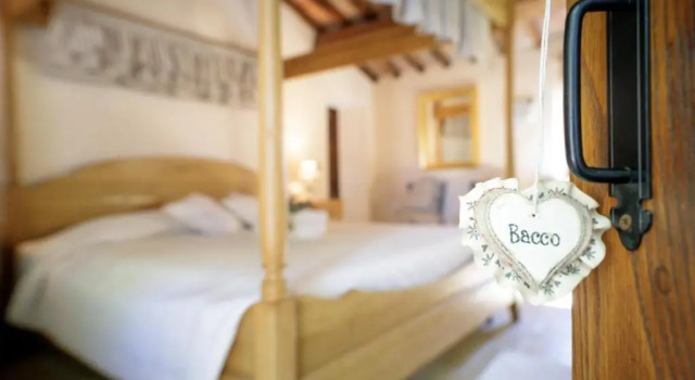 Люкс Standard Agriturismo Selvella
