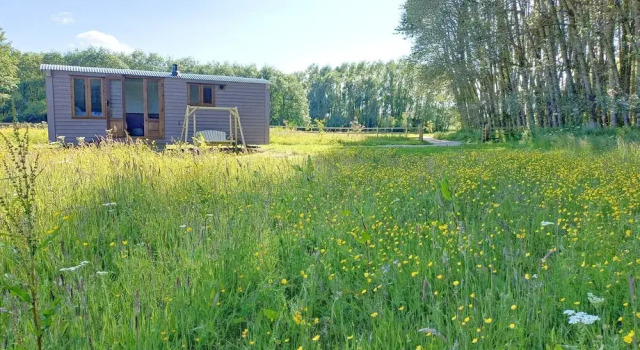 The Heartwood - Luxury Cabin Near York, Забронировать Отель Отели Англии 3 звезды, 3*