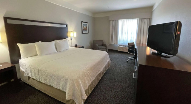 Двухместный номер Spark by Hilton Houston West Clay Road