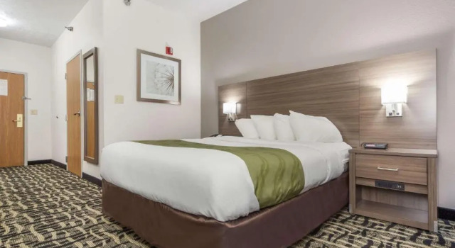 Номер Standard Quality Inn & Suites Omaha Chalco