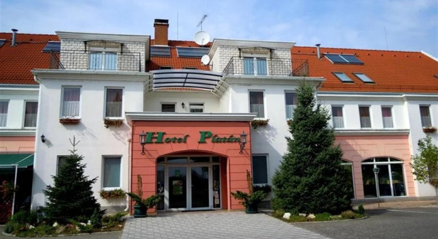 Одноместный люкс Platan Hotel