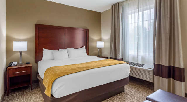 Двухместный номер Standard Comfort Suites Clarksville near Governors Square Mall