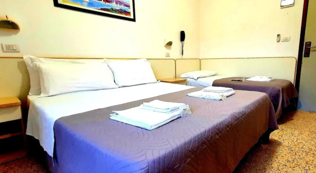 Lively Hotel