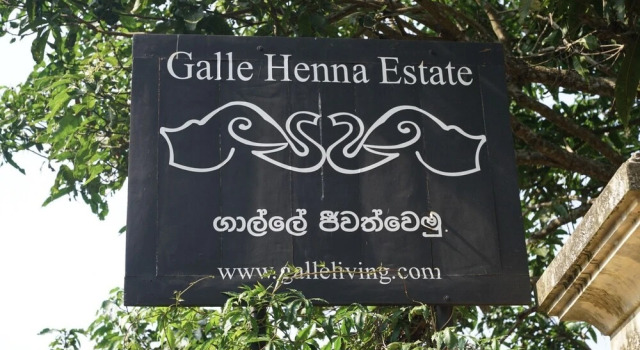 Galle Henna Estate