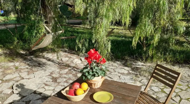 Номер Standard Agriturismo Terra Di Pace