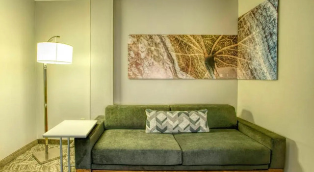 Suite SpringHill Suites by Marriott Lawrence Downtown