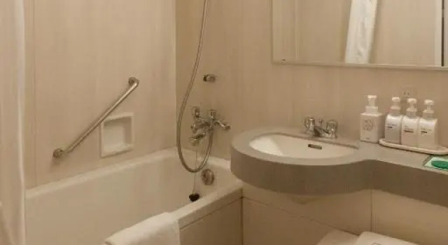 Одноместный номер Standard Ueda Tokyu REI Hotel