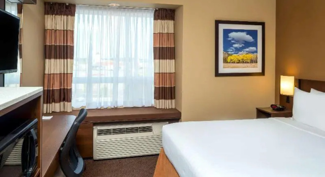 Одноместный номер Standard Microtel Inn & Suites by Wyndham Red Deer