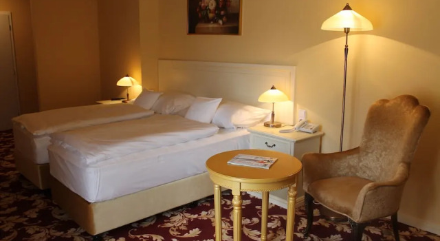 Двухместный номер Standard Spa Hotel Vita