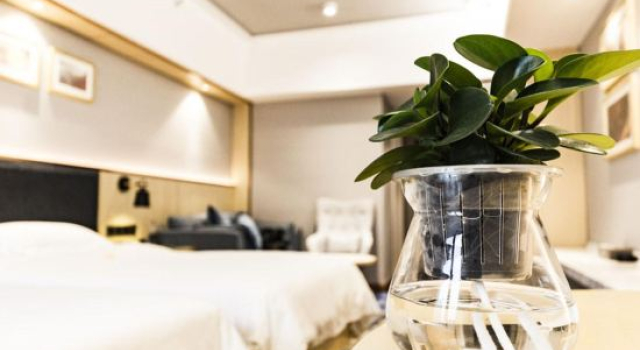 Manju Hotel (Chuhe Han Street Subway Station Hubei Provincial Museum), Prenota Hotel Wuhan Hubei