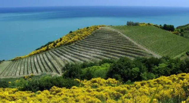 Villa San Nicola, Book Villa Sommerhuse i Romagna, Hytte