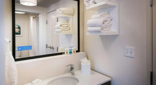 Двухместный люкс Hampton Inn & Suites Carson City