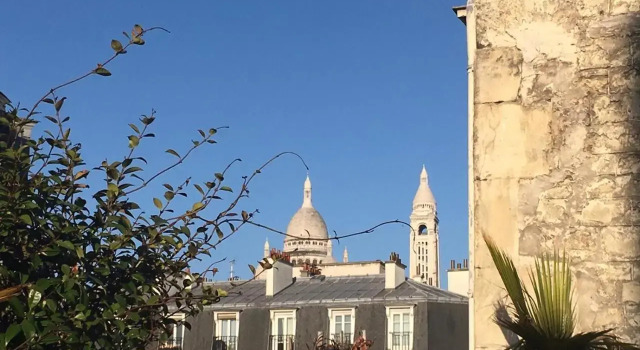 LUXURY FLAT WITH ROOFTOP TERRACE - Paris 18