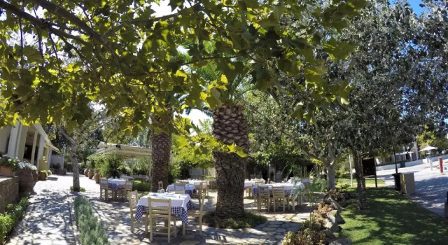 Коттедж Sani Beach Gallery Villa, your next family vacation