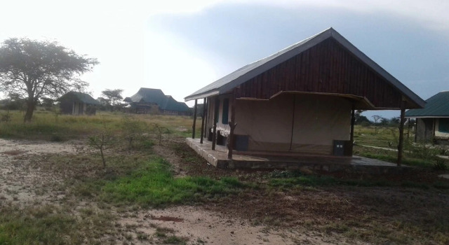 Zebra Kemang'ore Bush Tented Lodge