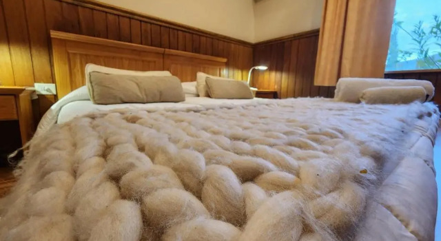 Номер Superior Del Glaciar Libertador Hotel