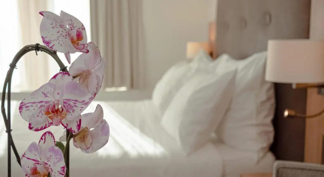 Двухместный номер Standard Auberge Le Relais