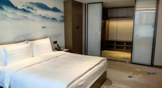 Семейный люкс Deluxe Tong Run Hotel