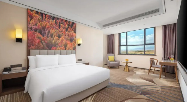 Люкс Deluxe Wanda Jin Hotel Karamay Dushanzi Huiyang