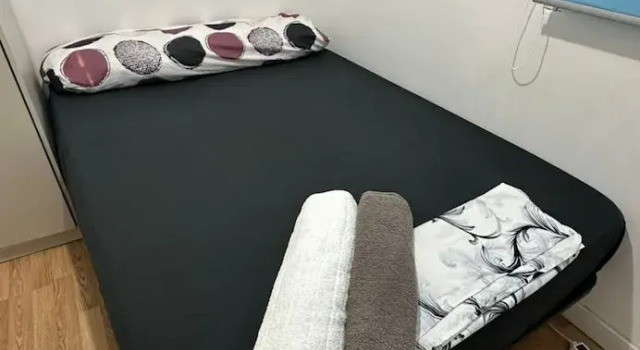 Номер Standard Rupestre