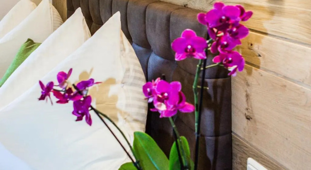 Номер Standard Hotel Thurnerhof