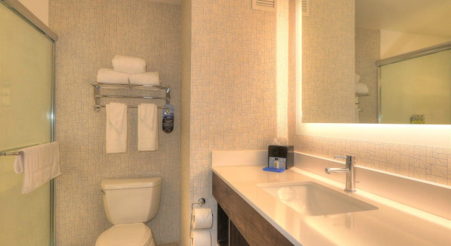 Двухместный номер Standard Holiday Inn Express Hotel & Suites Mobile Saraland by IHG