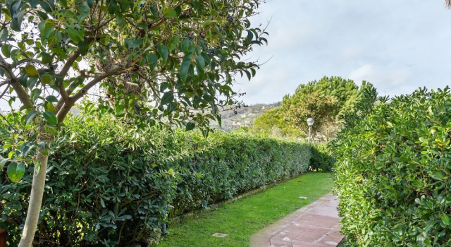 Simple Apartment in Massa Lubrense With Terrace
