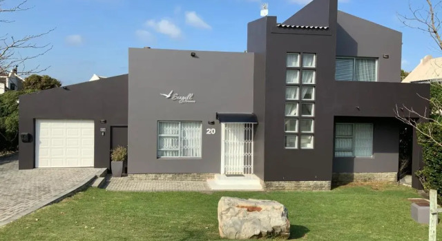 Seagull Hermanus