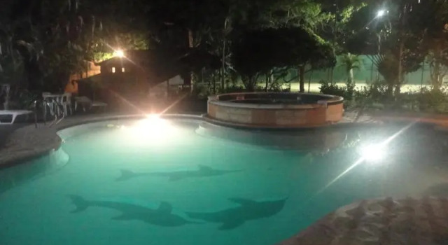 Haruhay Dream Resort and Restaurant