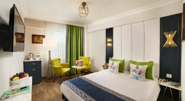 Двухместный номер Standard Hotel Ephesus Istanbul