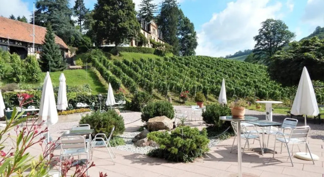 Апартаменты Wein Lodge Durbach - Josephsberg