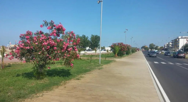 B&B LUliveto, Book Bed and Breakfast Corigliano Calabro Calabria